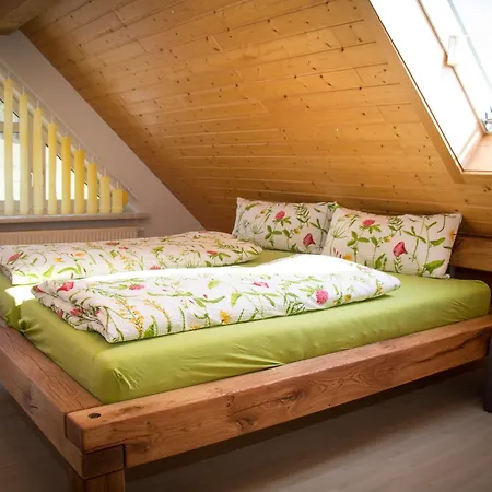 Falkenblick Og Im Fh Falkenhoehe * Oberweißbach